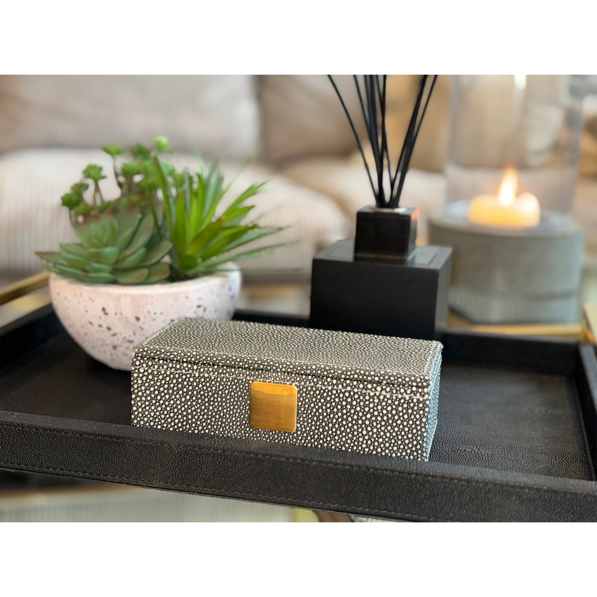 Shagreen Effect Box
